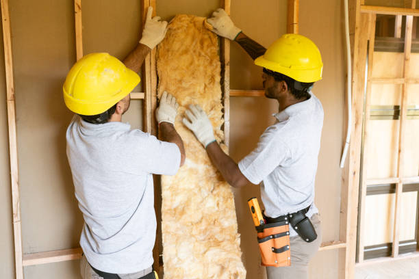 Best Insulation for New Construction  in Baxter, TN